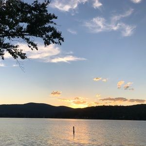 Meet your Posher, Phoebe